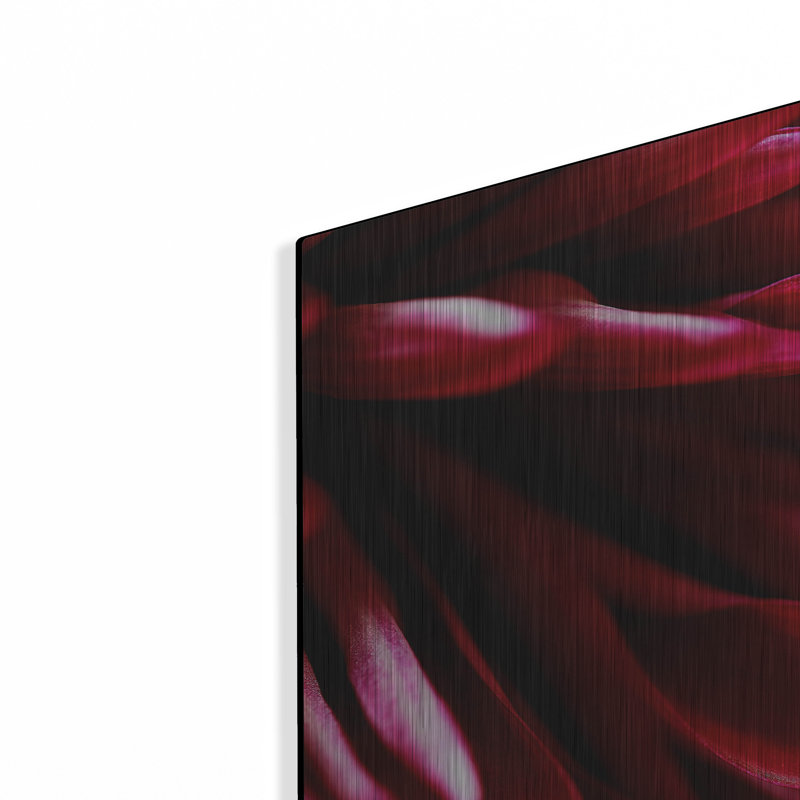 Latitude Run® «Red Chrysanthemum Close up 02» par Tom Quartermaine, art mural en métal, H 12 po x l 12 po
