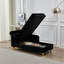 Chaise longue moderne avec revêtement en velours (noir)