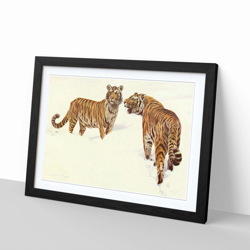 Vintage Siberian Tiger by Wilhelm Kuhnert - Framed Print, Black