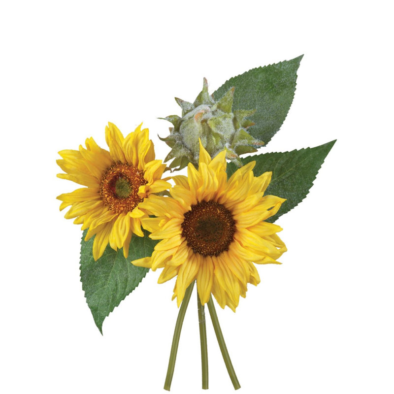 Tige de bouquet de fleurs