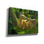 «First Spring» par Crista Forest - reproduction d'art sur toile tendue-1050477073