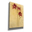«Red Day Lily» par Cheri Blum, art mural sur toile-569802775