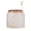 Misty Toothbrush Holder-300283462