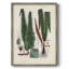 Collection de fougères V, reproduction encadrée - bois massif-2076993583