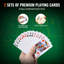 Ensemble de jetons de poker 300 pièces VEVOR