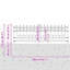 Powder-Coated Steel Fence Panels Included-124587310