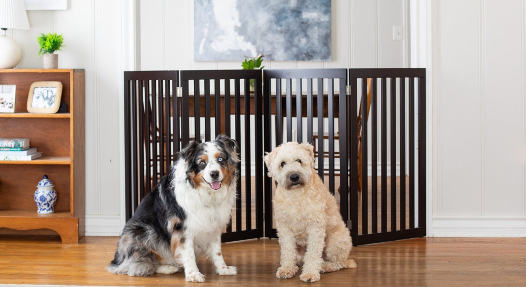 Pet Gates