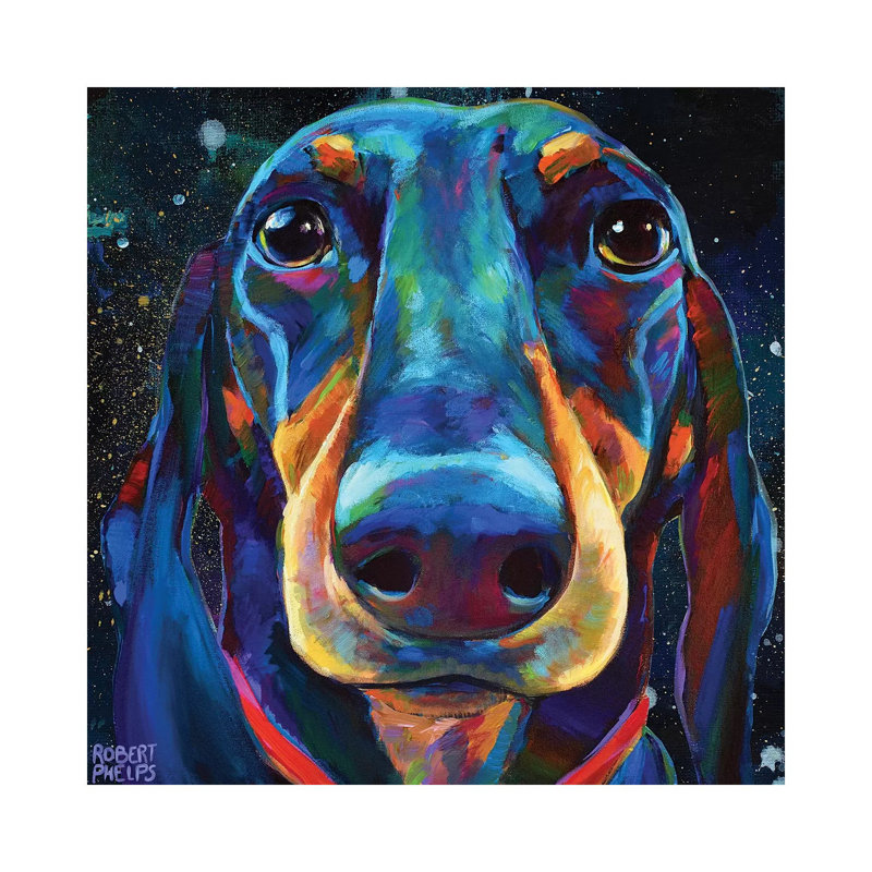 Dachshund In Space by Robert Phelps - Gallery-Wrapped Canvas Giclée on Canvas, 30.48 cm H x 30.48 cm W, Wrapped Canvas