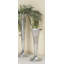 Vase Flower