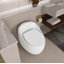 Toilette 1 pièce à chasse d'eau 1,28 GPF-117137160