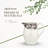 Spode Delamere Pitcher 56 Oz - Brown/White