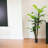 72'' Faux Banana Leaf Tree in Pot