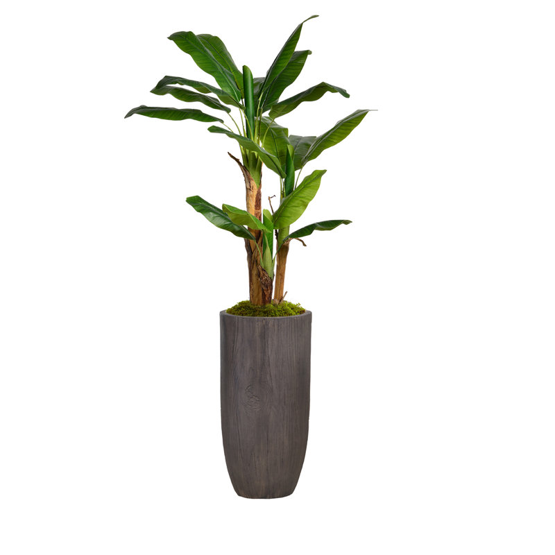Bananier artificiel 74,25 "en pot Panama