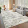 Washable Large Abstract Area Rug for Living Room Soft Indoor Carpet