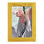 Tropic Parrot II encadré sur papier-1847621179-1847621152