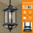 16.1'' Hardwired Outdoor Hanging Light