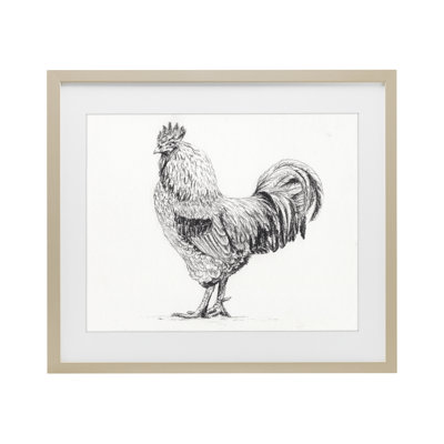 Coq au fusain, reproduction encadrée sous verre, design par Leah Noel Art