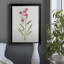 Delicate Pink II - peinture sur toile encadrée-404488525-404488514