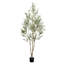 Olive artificielle avec pot-1267324232