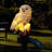 Christmas Decorations Solar Owl Light Integrated LED Resin Pathway Light Outdoor Waterproof-112575688