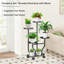 Plant Stand - Set of 10