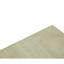 Area Rug in Beige
