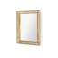 Reese Rectangle Brass Beveled Mirror-2096492470