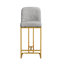 Ensemble de 2 chaises de bar de style moderne avec une conception simple, des tabourets hauts confortables au design créatif et des chaises de salle à manger flexibles convenant aux bars, aux restaurants ou aux comptoirs de cuisine