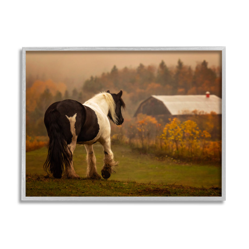 «Ba-327», cheval surplombant une grange encadrée sur bois par PHBurchett, Gris, H 16 po x l 20 po x P 1,5 po