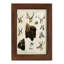 Western Animal Species I, reproduction encadrée sur papier-90582813-90582814