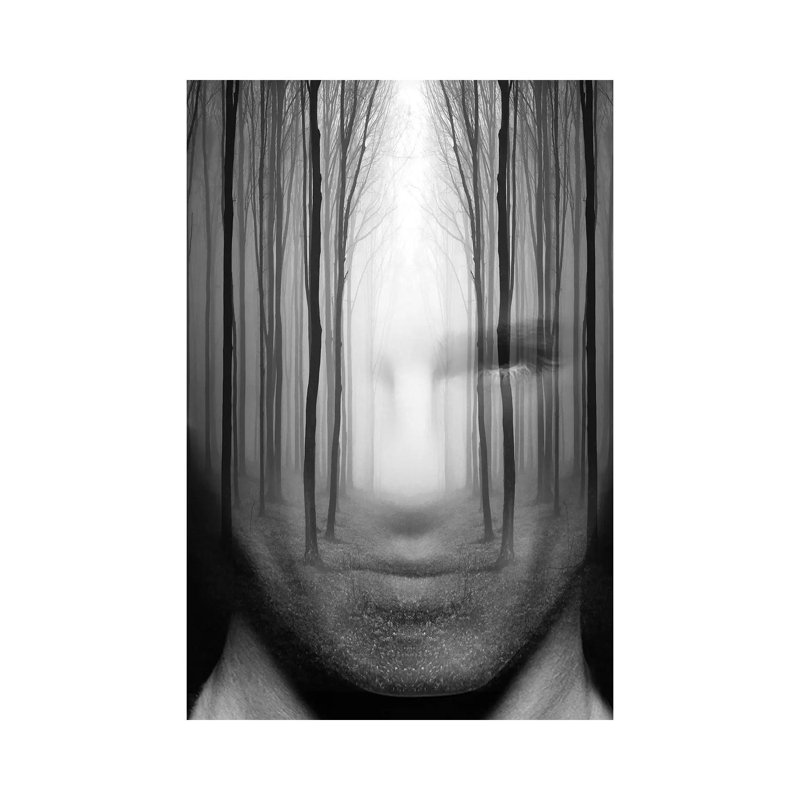 Forest Man by Tatiana Amrein - Wrapped Canvas Print, 30.48cm H x 20.32cm W x 1.905cm D