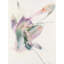 Metamorphosis Print by Carla White-65791834-65791836