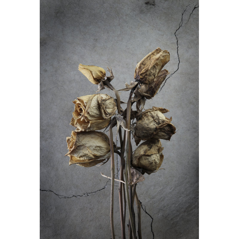 Bouquet de roses mortes par Davealan, H 36 po x l 24 po