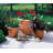 Ketzaly Pot Planter-1368620225-1368620239