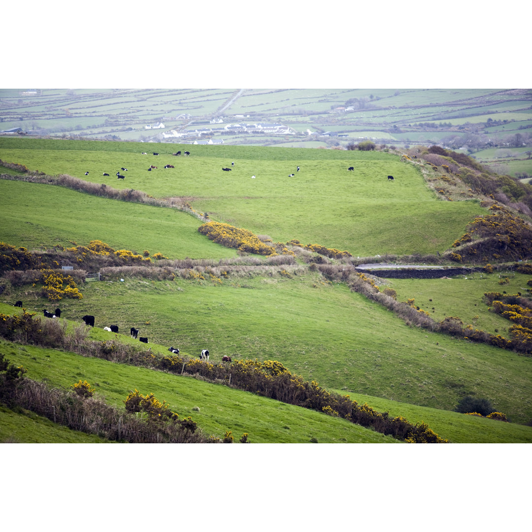 Quintessential Ireland von RASimon - Kunstdrucke auf Leinwand ohne Rahmen