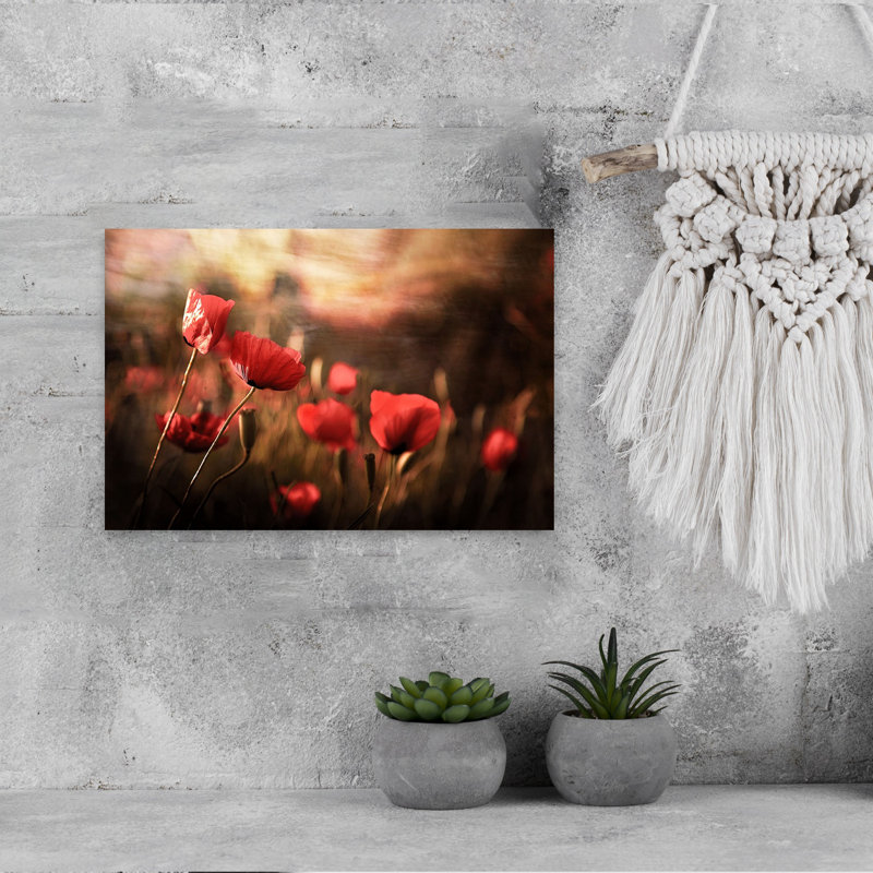 «Dreamy Poppy Field Peaceful Romantic Rustic Poppy Flower Nature», art mural, H 12 po x l 18 po