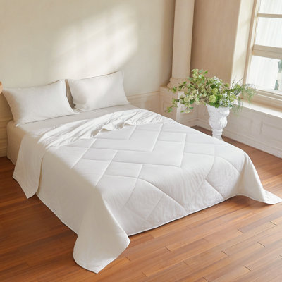 Queen 100 GSM Australian Wool Lightweight Comforter with Cotton Cover (White)