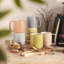 Staub Ceramic Dinnerware 6-Pc 12 Oz. Mug Set - Macaron Pastels