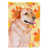 Labrador Retriever sélectionné