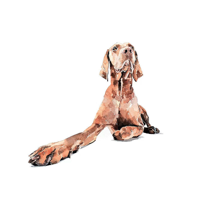 Vizsla Regal - Painting on Canvas, Wrapped Canvas, 30.48 cm H x 30.48 cm W
