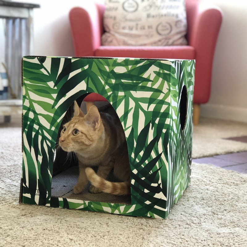 Maison pour chat Kitty Jungle
