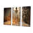 Toile tendue