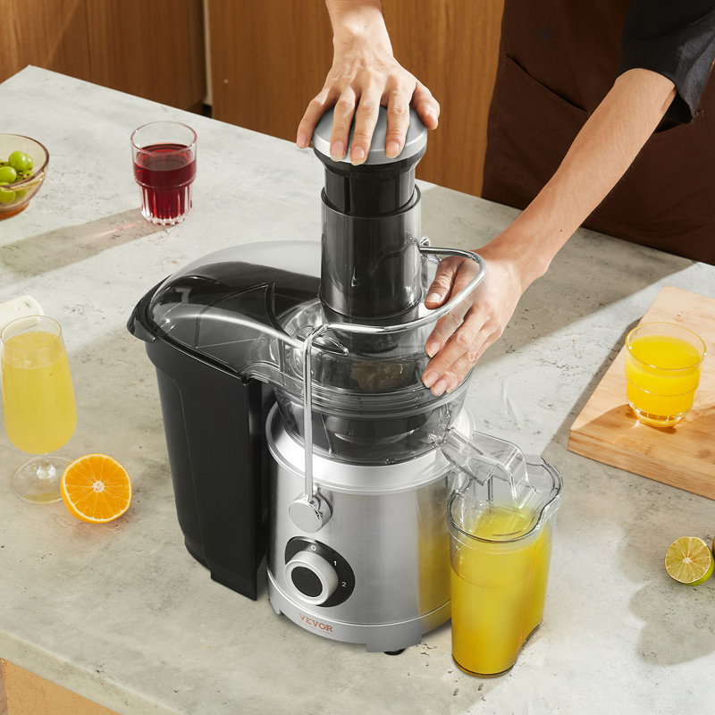 VEVOR 1000W 2 Speed Centrifugal Juice Extractor Juicer Machine