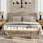Bella 52" Upholstered Modern Accent Bench