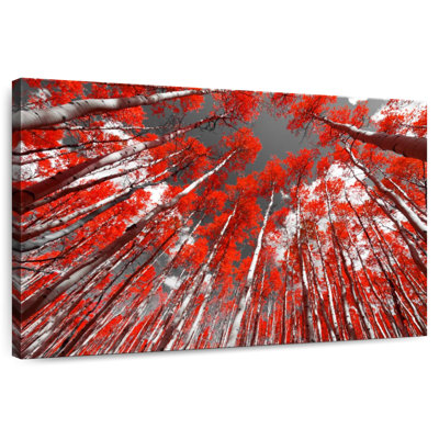 Harnek, arbres de la forêt rouge