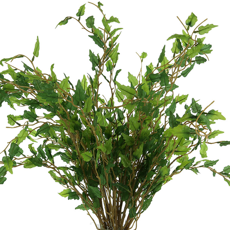 Smilax Arranged in a Ceramic Vase