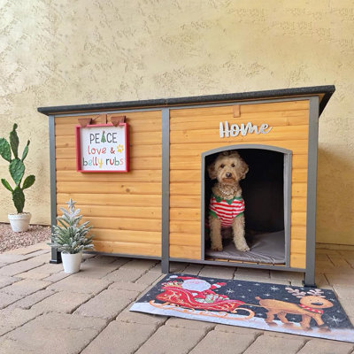 Solid Wood Portable Insulated Igloo Style Dog House