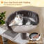 93 cm H Cat Tree / Condo