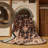 Machine Washable Persian Brown Area Rug-1116550600