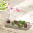 Glass Jewellery Box